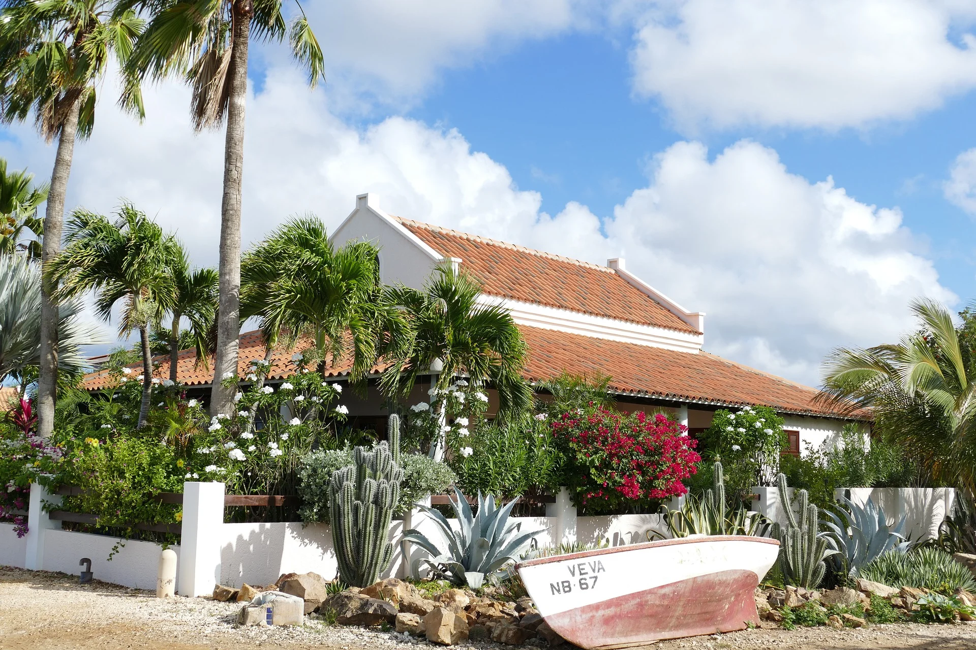 Bonaire is one of the best Caribbean islands to visit for diving